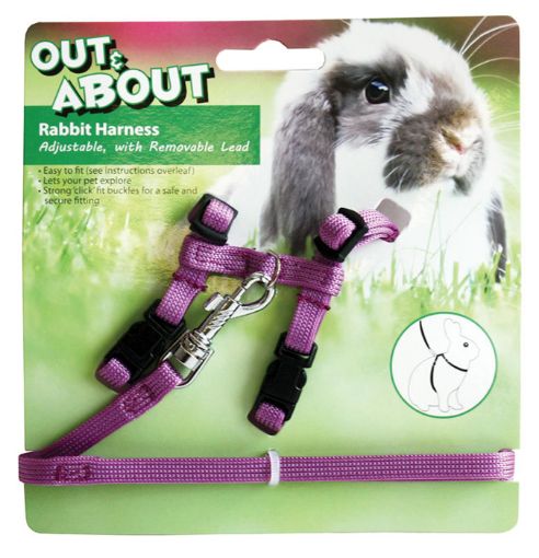 Picture of RABBIT HARNESS&LEAD SET/PURPLE