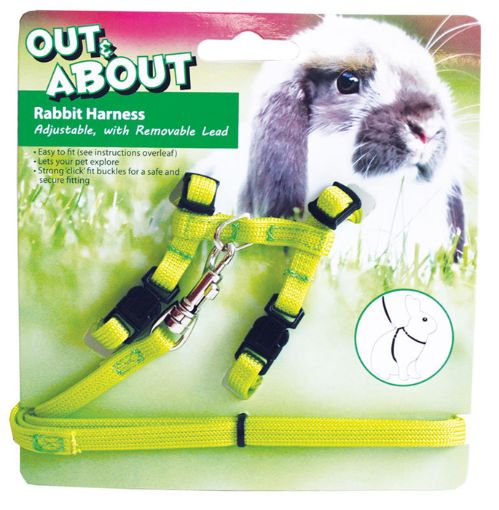 Picture of RABBIT HARNESS&LEAD SET/GREEN