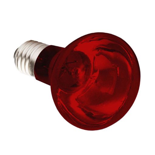 Picture of INFRARED SPOT BULB ES 75W
