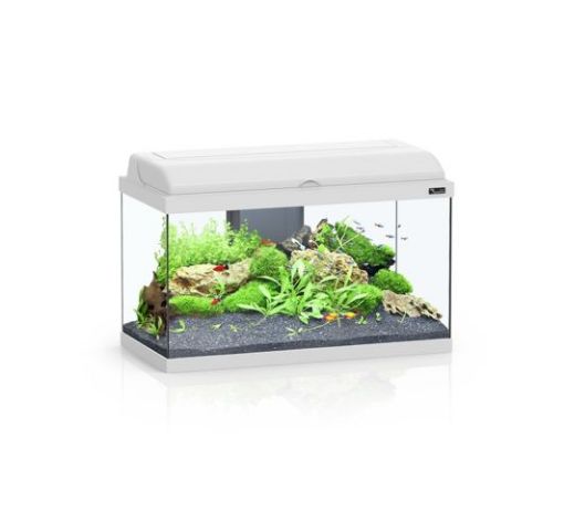 Picture of AQUARIUM AQUADREAM COR025 80X30X45CM/WHITE