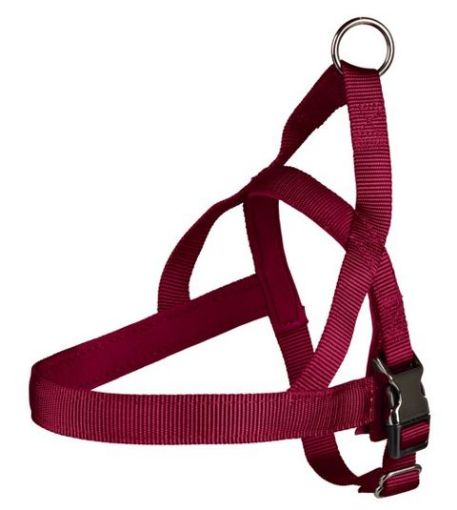 Picture of EXPERIENCE NORWEGIAN HARNESS S-M 30-50CM/25MM W RE