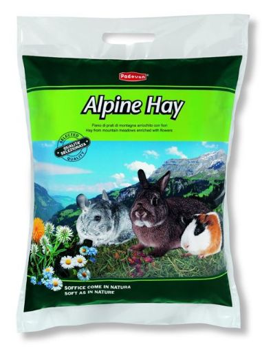 Picture of ALPINE HAY 700G