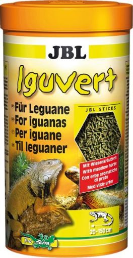 Picture of JBL IGUVERT 1L