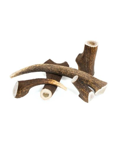 Picture of FC WILD Nature Deli DEER ANTLER L 76-150G