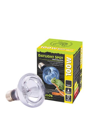Picture of NEODYMIUM DAYLIGHT SPOT BULB ES 100W
