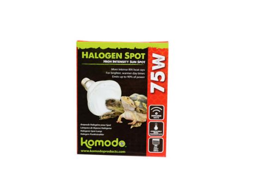 Picture of HALOGEN SPOT BULB ES 75W