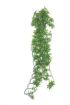 Picture of HANGING PLANT PAPAYA LEAF VINE 60CM