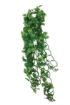 Picture of HANGING PLANT SPLIT PHILODENDRON 60CM