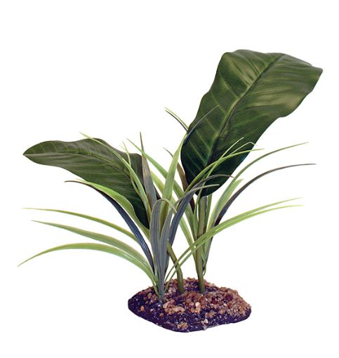 Picture of STANDING PLANT EVERGREEN CANOPY 35CM