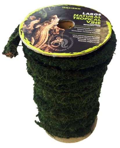Picture of NATURAL TROPICAL VINE REEL LG 15MX15MM X 1 METRE
