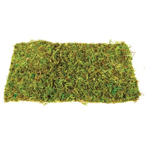 Picture of NATURAL MOSS MAT SM 30X20X0.8CM/2PCS