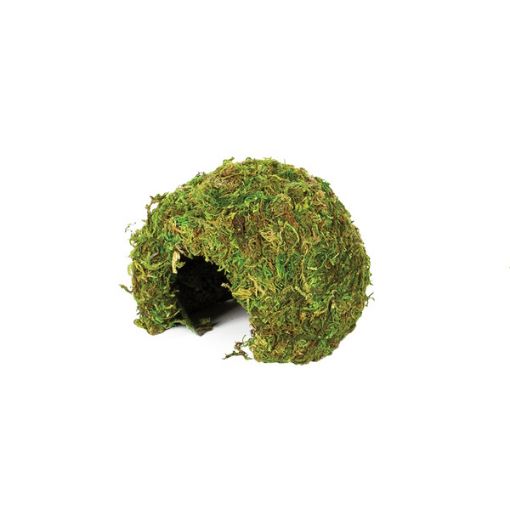 Picture of NATURAL MOSS CAVE SM 11X11X9CM