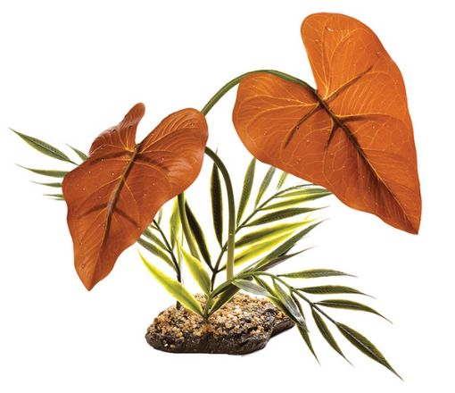 Picture of STANDING PLANT RAINFOREST CANOPY 38CM