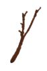 Picture of TROPICAL VINE BRANCH SM 10X48CM