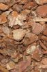Picture of FOREST TERRAIN ORCHID BARK CHIPS 6L