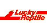 Picture for category LUCKY REPTILE