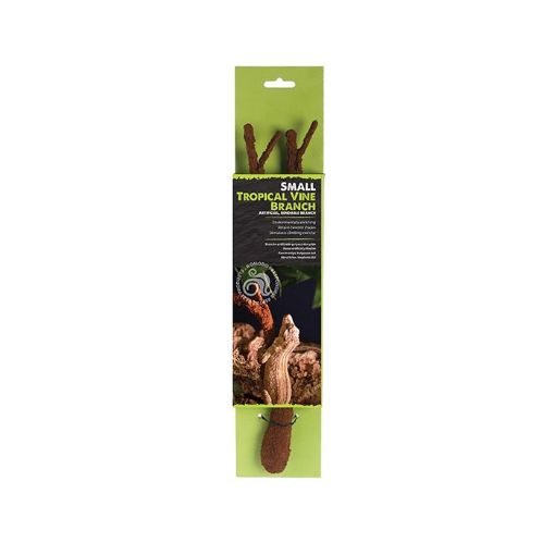 Picture of KOM NATURAL TROPICAL VINE BRANCH SM 10X48CM