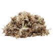 Picture of HABITAT MOSS COMPACT BRICK 20X10.5X1.5CM