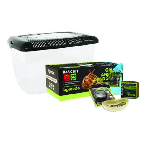 Picture of GIANT AFRICAN LAND SNAIL BASIC KIT 40X28X16.5C