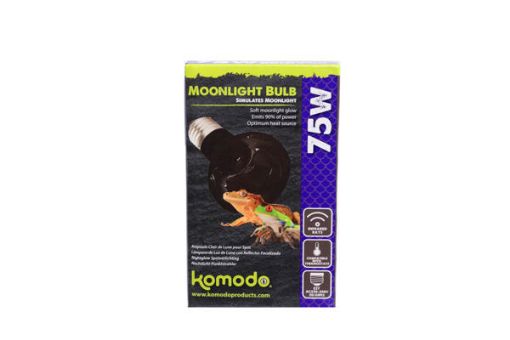 Picture of MOONLIGHT BULB ES 75W