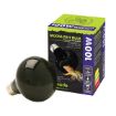 Picture of MOONLIGHT BULB ES 100W
