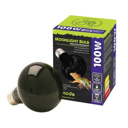 Picture of MOONLIGHT BULB ES 100W