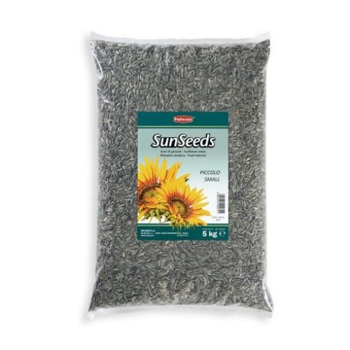Picture of SUNSEEDS SUNFLOWER SMALL 5KG