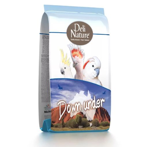 Picture of DELI NATURE AMAZONAS PARK DOWN UNDER 2KG