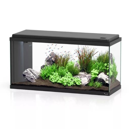 Picture of AQUARIUM 80 LED BIO COR001 96L 80X30X40CM/BLACK