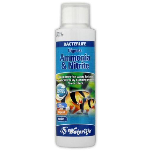Picture of WATERLIFE DIGESTS AMMONIA&NITRITE/BACTERLIFE 20ML