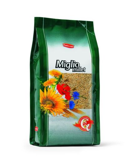 Picture of MIGLIO/MILLET YELLOW 1KG